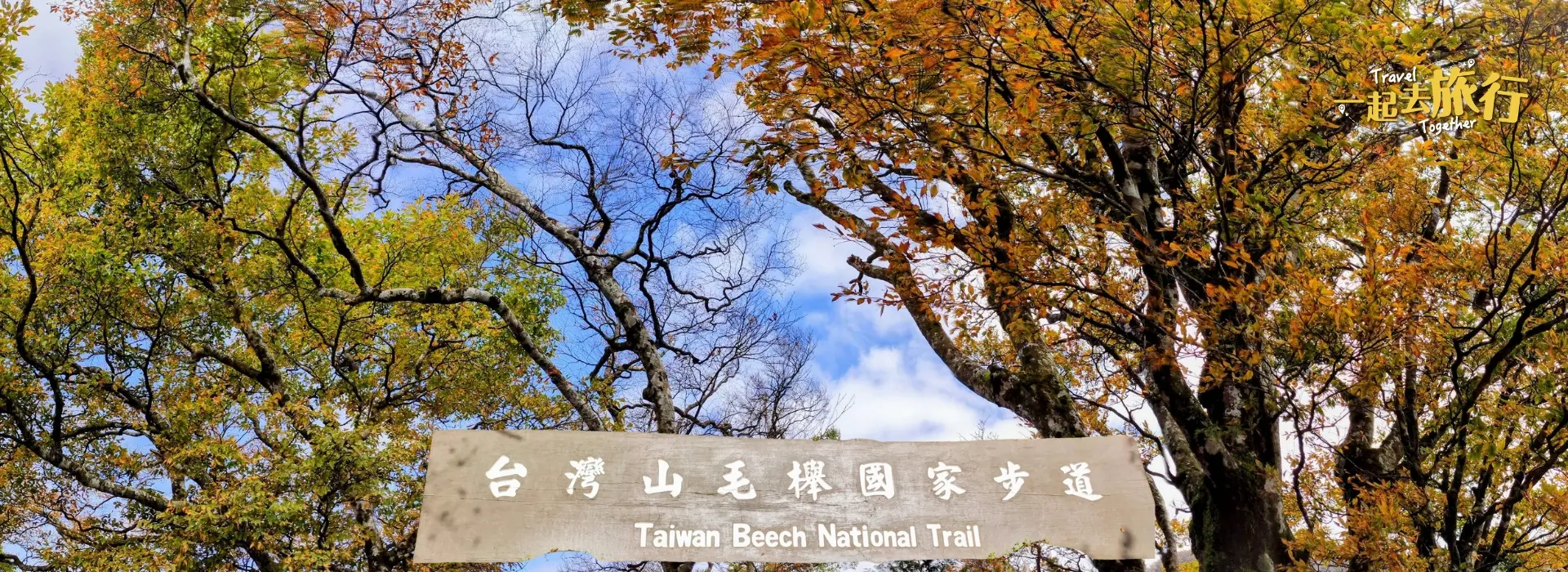 台灣山毛櫸步道